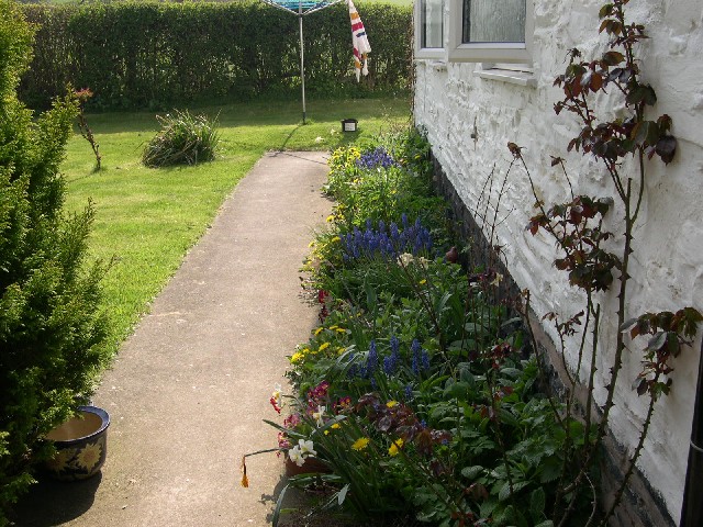 Photograph